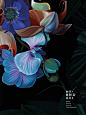 Hybrids. Botanical Illustrations : Hybrids. Botanical illustrations, digital art