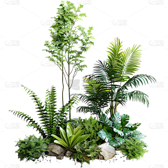 K9ERJlcn采集到植物/氛围/装饰素材