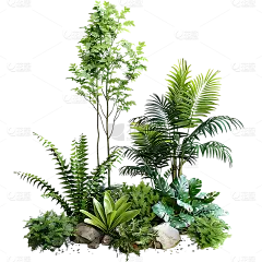 植物通用绿色实景景观绿植组合元素素材