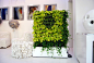 便携式植物墙 室内移动植物屏风