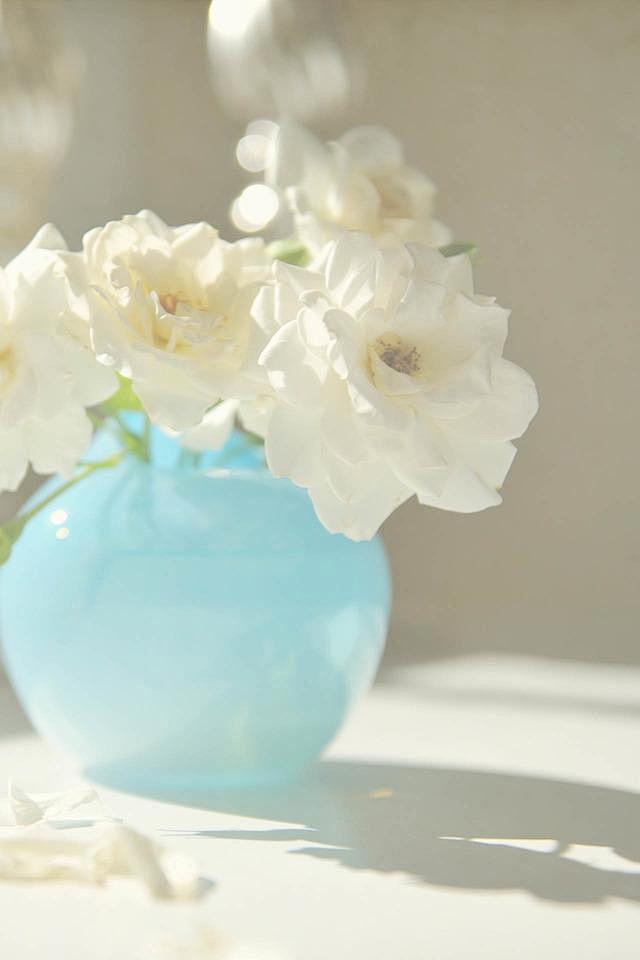 32ab8a9f8f9f9ee7967a...