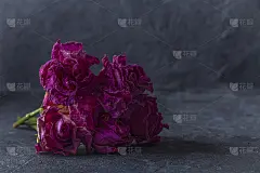 干枯的玫瑰在黑暗的背景在复古的乡村风格。心碎，失恋，离婚的概念。衰老的美，自然老化的概念