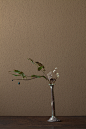 2012年4月30日（月）
黄蓮（花）の名は黄色の根から。漢方では胃腸薬になります。
花＝黄蓮（オウレン）、宝鐸草（ホウチャクソウ）
器＝ローマングラス瓶（ローマ時代）