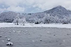 斯洛文尼亚的普莱尼纳，冬季被冰雪淹没的田野景观