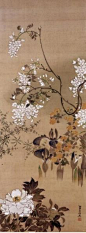 WATANABE Shiko (1683-1755), Japan