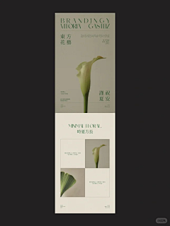 造作啊采集到【公众号】