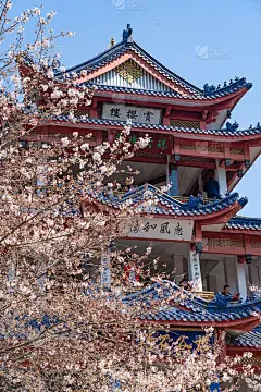 江苏省无锡市太湖鼋头渚景区赏樱楼与蠡湖渤公岛