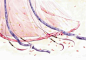 【逐陌】洛水の川 [http://1356931433.qzone.qq.com]