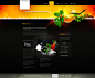 Webdesigner1921精彩网站作品10
