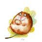 来自插画师 Wiebke Rauers 可爱动物插画作品又一组  |  wiebkerauers.tumblr.com