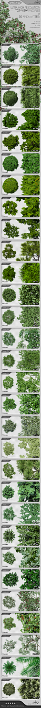 顶视图树包装插图3 -对象Top View Trees Pack 3 - Objects Illustrations3 d、3 d计划、架构、资产概念,外观,地板设计、平面图、鲜花、森林,游戏,花园,发电机,绿色,地面、房屋设计、土地、景观布局、地图、总体规划、现代、自然、植物、地形、木材、顶部,树,看来,木头 3d, 3d plan, architecture, asset, concept, exterior, floor design, floor plan, flowers, forest, ga