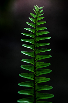 ∝小小草∝采集到摄影 ·  色影