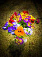 Flower garden on Behance