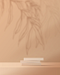 花瓣素材_化妆品浅棕色的背景，最小和优质的讲台展示产品展示品牌和包装展示。带有树叶阴影背景的演播室舞台。设计_154519320