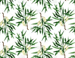 水彩画手绘茶树枝条,叶和花插画.白色背景上的水色无缝图案。包装，面料，墙纸。草药和香气疗法