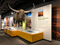 Bell Museum of Natural History : The Bell Museum of Natural History, on the University of Minnesota’s campus, reopened in July 2018, serves as an inspiring space for continued…
