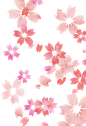 日式水彩樱花请柬邀请函宣传卡片海报元素横幅打印矢量AI素材图案 (3)