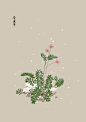 水彩 植物花卉 插画 artistic青尘/绘