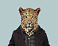 Leopard---Panthera-pardus-copia