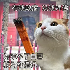 新的一年不发脾气只发财
2024年，该轮到姨姨们发财啦！
 
#橘宝文学 #表情包 #奇奇怪怪表情包 #宠物表情包 #发财 #好运小猫 #新年 #在过一种很龙的年 #财神 #拜佛 #烧香 #祈福 #好运 #好运锦鲤 #好运连连