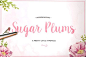 Sugar Plums Script 