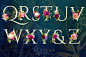 水彩手绘花朵几何字母数字婚礼标识logo水印PNG设计素材png360-淘宝网
