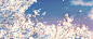 『Julyの动漫场景gif』初时·清澈里_小清新吧_百度贴吧
