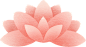 兔年春节传统习俗插画B-荷花