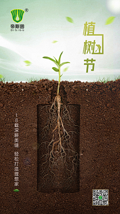lishpn采集到植物