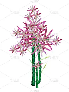 用于装饰花园的美丽竹子的等距