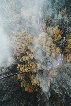 诺诺的黑猫采集到场景