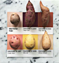 食物色卡 。｜Lucy Litman ​​​​