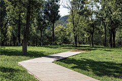 dongdong0301采集到阳光城
