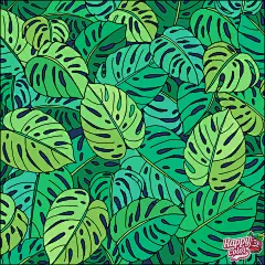 水自漂流叶自荣枯