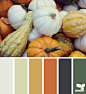 autumn palette