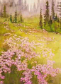 泉域水彩画

Spring Field Watercolor