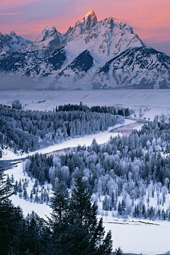 翠玉竹林采集到雪景