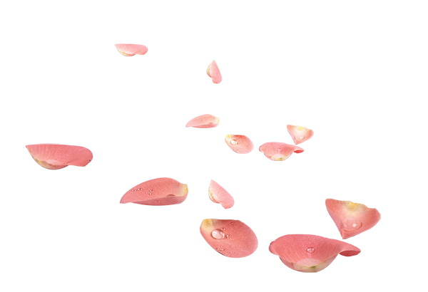 花 (18)