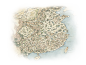 孙策 - 全面战争中文维基 - 灰机wiki - 北京嘉闻杰诺网络科技有限公司