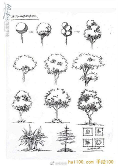 太阳高高挂采集到动植物