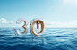 30th anniversary on Behance