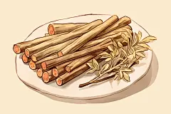 甘草植物医疗插画
