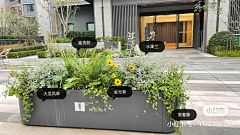 昵称叫做小阳光采集到【场景】12-外摆绿植、花箱