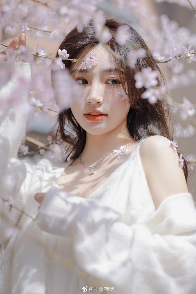@朴雪莲啊 的个人主页 - 微博