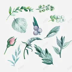 春天手绘墨绿色植物装饰 元素 免抠png 设计图片 免费下载 页面网页 平面电商 创意素材