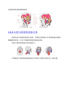 ♚画情采集到(PDF版本)动漫人体结构表现技法专项训练