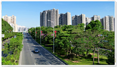 K_Jun_采集到场景 市政道路绿化