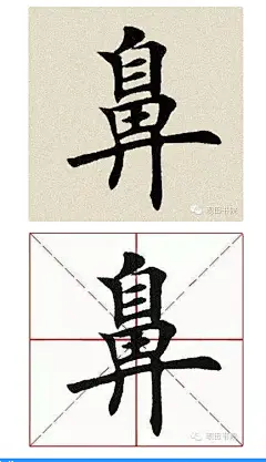 鼻：上下结构，上收下展。
上部“自”要紧凑，不可写高。首撇起笔稍重，短促有力；左竖露锋起笔，先向右行笔堵住撇尖，再折笔下行，收笔干净利索；横折的横画要轻，稍抗肩，到位后稍顿向里略扣然后直下；里面两横虚接起笔，稍扛肩，注意收笔位置； 底横实接实收，抗肩、间距均与上同，微呈拱形。
下部“畀”上紧下松，上面“田”形扁，上宽下窄，与“自”直对。左竖起笔与“自”的左竖起笔对齐，轻，左斜；横折的横画虚接起笔，抗肩、间距与上相同，过了“自”的右竖折笔向左下方行笔；上粗下细；中间小横稍偏左；竖笔居中垂直；底横稍呈拱形。“