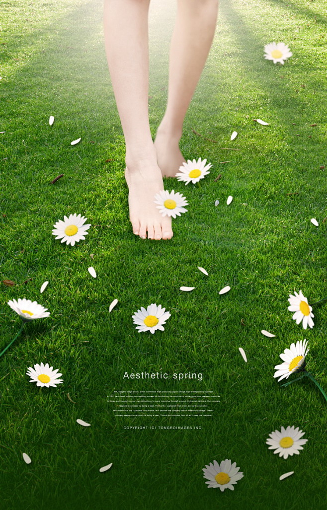 浪漫鲜花情人节玫瑰花瓣青草地婚纱照手捧花...