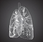 医疗科技肺部结构矢量图设计素材